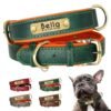 collier chien personnalisé cuir tpu collier chien personnalisé cuir tpu