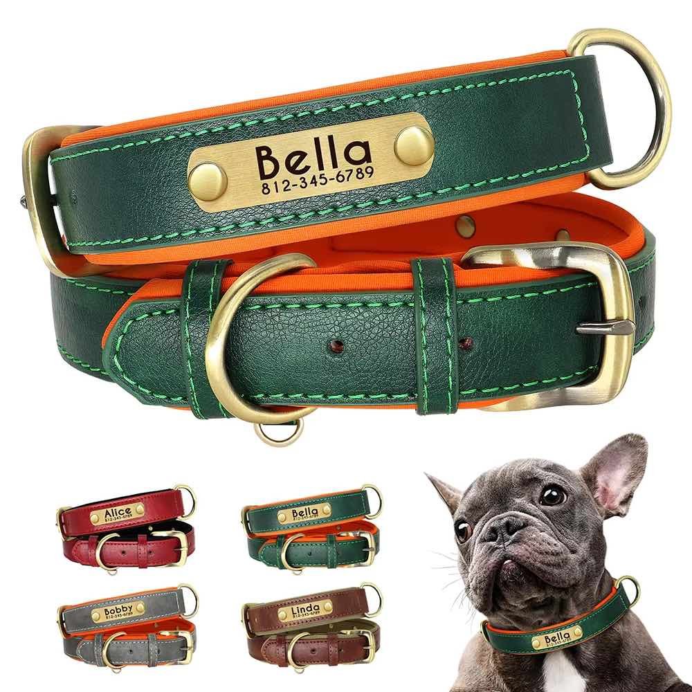 collier chien personnalisé cuir tpu